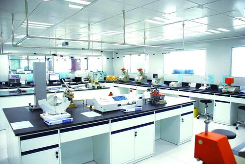 發揮中輕集團檢驗檢測綜合服務優勢，以科技中介服務賦能行業高質量發展