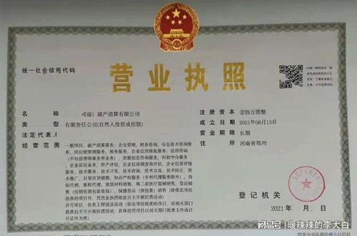 立足中原，布局未來 如何高效注冊河南破產清算、鄭州不良資產處置與科技中介服務公司